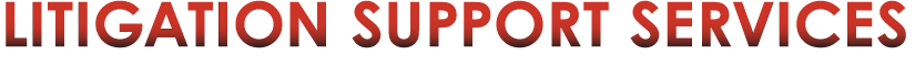 Litigation Support Services